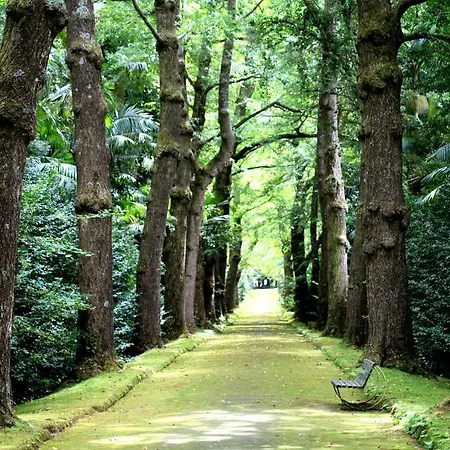 بيت للعطل Casa Alivas