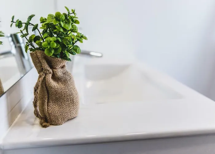 Casa Alivas Furnas (Azores)