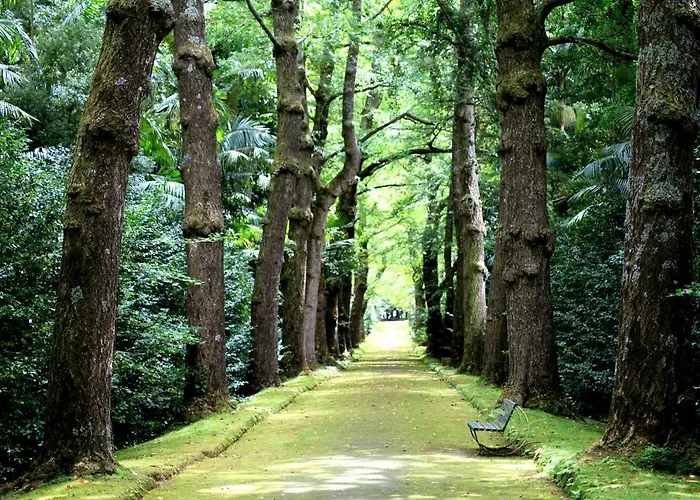 Holiday home Casa Alivas